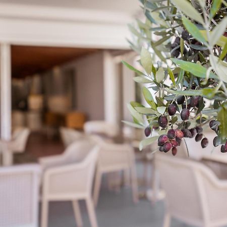 Paul Marie Hotel Apartments Ayia Napa Esterno foto