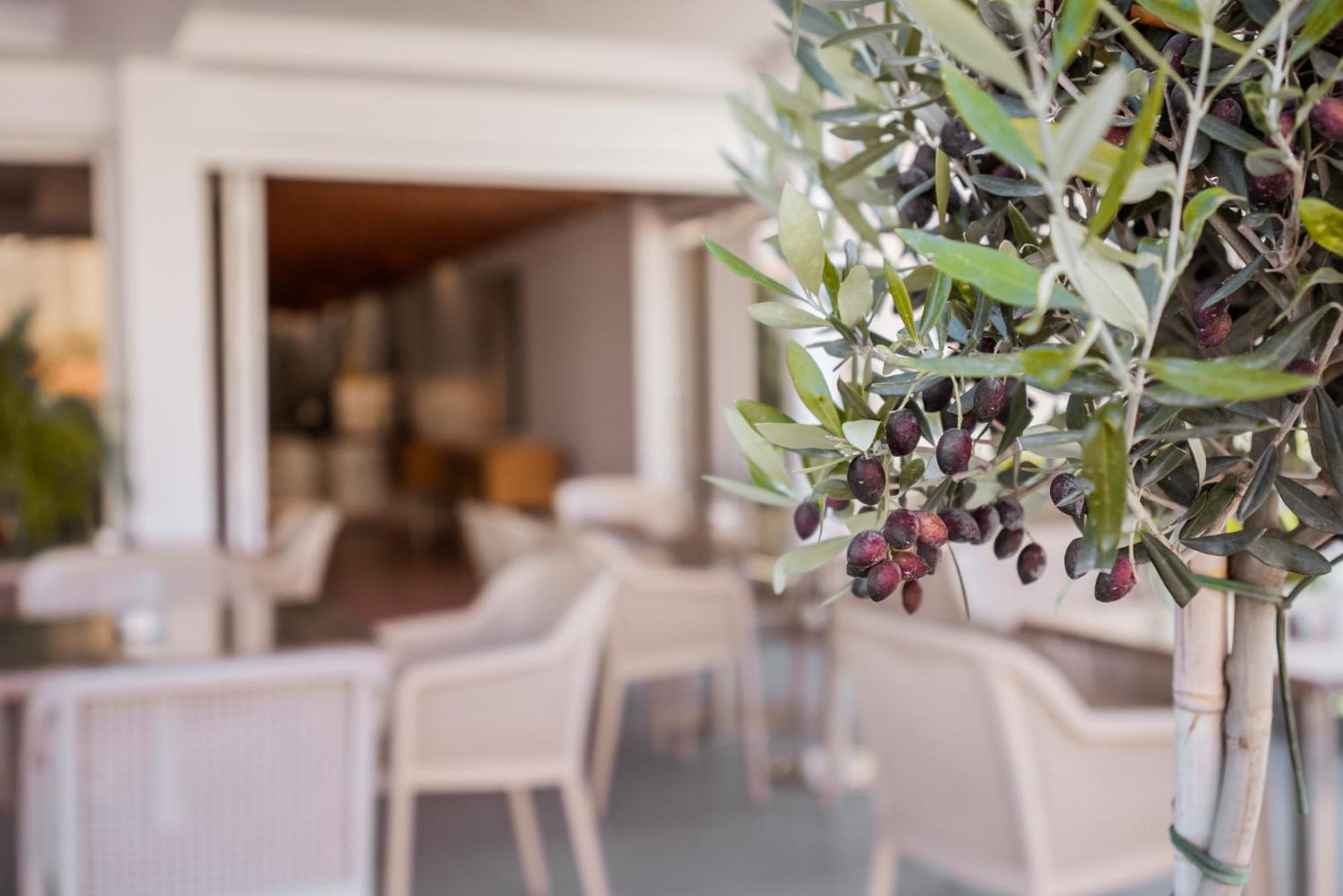 Paul Marie Hotel Apartments Ayia Napa Esterno foto
